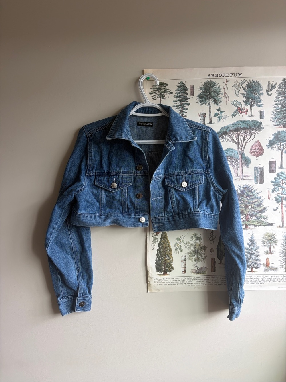 Cropped Jean Jacket 100% cotton Medium